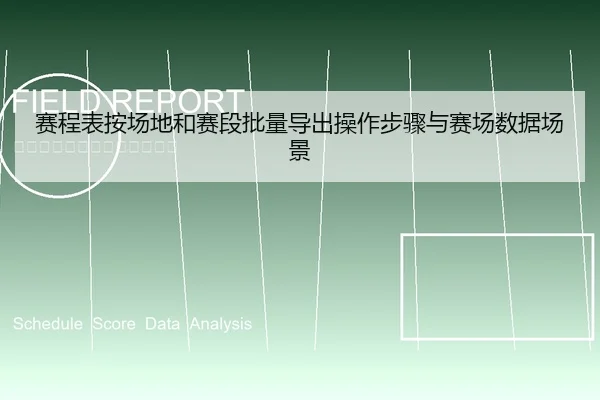 赛程表按场地和赛段批量导出操作步骤与赛场数据场景